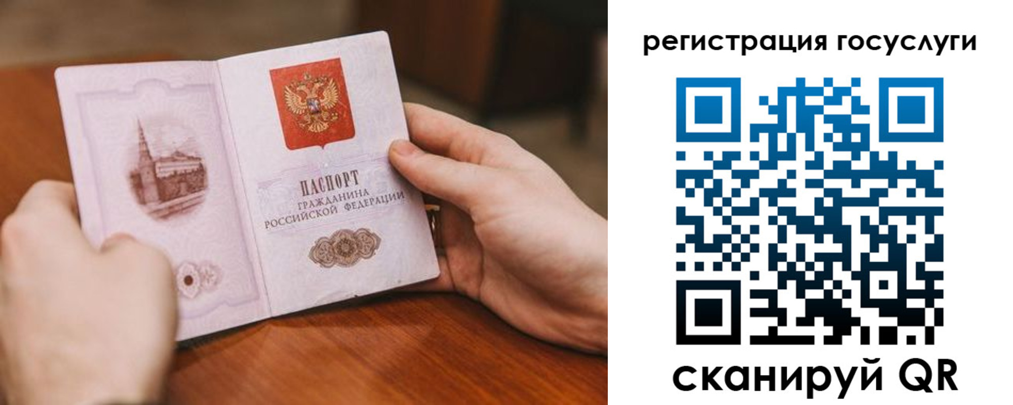 прописка поиск в Клинцах
